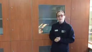 Highton Vet Clinic - Cattery - Cat Boarding Facilities