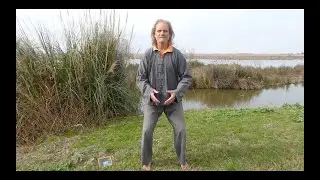 „Die Mitte finden“ – Zwei einfache Qi Gong-Übungen zur Stärkung der Mitte