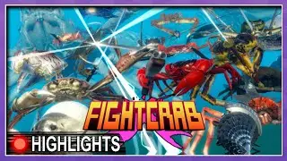 This Fight Club is for Crabs - Fight Crab Highlights
