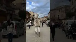 l&rsquo;Ovella Tura de Castellv&iacute; Fira Verd&uacute;