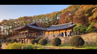 #4867 ♣■ [34] 부석사 무량수전 안양루, 선묘각, 조사당, 영주 [S] 극락전 [D] 부석사(34/38)소수서원 ES △ 25/11 * 일요일, #11/09