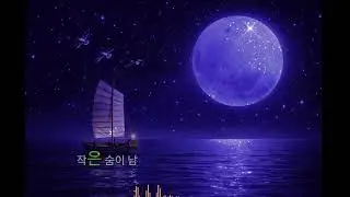잔잔한 발라드 (여성보컬)