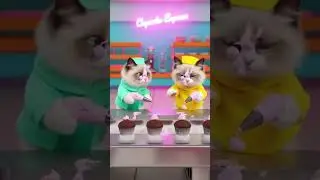 #Cats #CuteCats #FunnyCats #Kitten #CatLovers #CatsofYouTube #Meow #CatLife #PetCats #Fel#catlovers