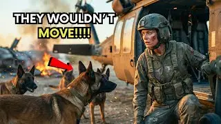 Go Home,” the SEAL Snapped — Then 24 Military Dogs Broke Protocol and Chose the Woman Pilot