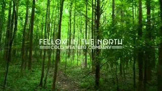 Cold Weather Company - Fellow in the North