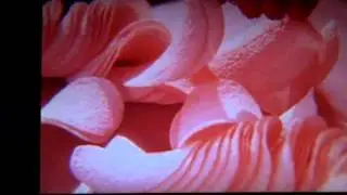 Pringles jingle commercial 60s