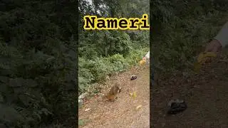 Entered Nameri National Park | Five Thousand Subscribers Special | 5K বিশেষ