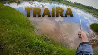 PESCA DE TRAIRA EM LAGOA ISOLADA. #pescaria #pesca