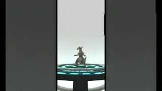 Shiny Fraxure evolves into.... #Haxorus  #pokemon #pokemongo #comday #communityday #shinypokemon #uk