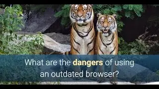 What are the Dangers of Using an Outdated Browser