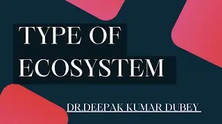 Types of ecosystem