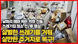 #성남쓰레기집 #쓰레기집청소비용 #쓰레기집청소 #쓰레기집
