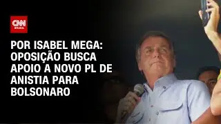 Oposi&ccedil;&atilde;o tenta nova anistia para Bolsonaro via senado | CNN NOVO DIA