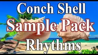 Conch Shell Soca Rhythms / 10-Construction Kits . 2020