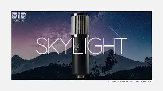 コンデンサーマイク Skylight / 512 Audio