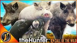 Our BIGGEST ALBINO Boar EVER + More Rares & Diamonds! | Call of the Wild