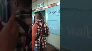 台北101大樓SKyline460