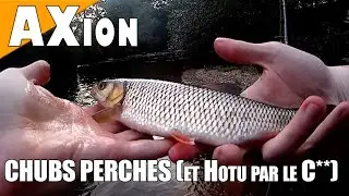 🎣 Perche, Chub et Hotu (par le c*l) - AXion 06