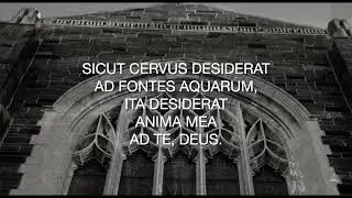 Sicut Cervus, by Palestrina