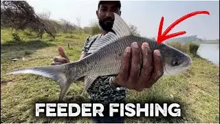 #shaik thayab fishing 🎣||feeder fishing||subscribe for more videos🐟