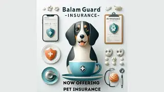 Balamguard Pet Insurance  A Purrfect Protection