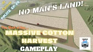 MASSIVE COTTON HARVEST - No Man's Land Gameplay Episode 81 - Farming Simulator 19