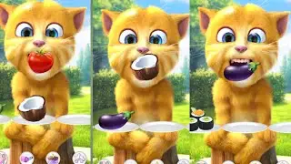 🧨 Ginger Drops a Shock Moment 🐱