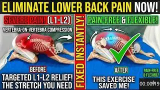 Lower Back Pain Relief Stretch -