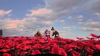 Wizard of Oz The Sphere Poppy Scene