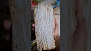 Lace Agate after slicing & polishing #polishedstone #naturalcrystal #crystalshop #minerals