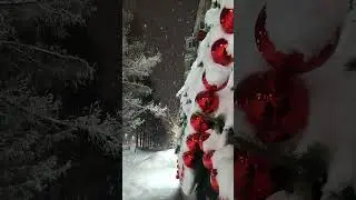 01.01.2026 Городские улицы#1