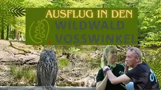Unser Abenteuer im Wildpark – Tiere hautnah erleben!