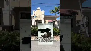 Burns Court Square in Sarasota, FL