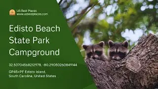 Edisto Beach State Park Campground Guide: Camping, Cabins, Trails, and Coastal Adventures