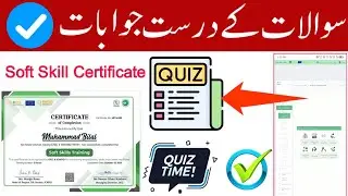 Soft Skills Certificate Quiz Answers | 100% Correct Solutions | Pass Your Test Easily