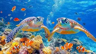 Relaxing Calming Music for Stress, Anxiety & Depression, Heal Mind Body Soul, Deep Relaxation
