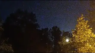 NIGHT VISION NATURE SOUND NOT AI #night #nature #sound #traffic #youtube #livestream #countrylife