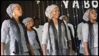 yabo ya tabbata. by Amadi Abba
