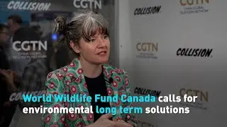 World Wildlife Fund Canada calls for environmental long term solutions