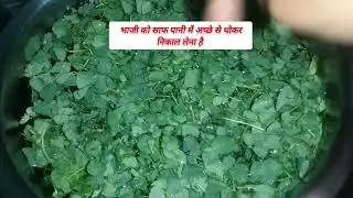 चनौरी भाजी सेहत से भरपूर||Chanauri Bhaji Recipe||Cg Chanauri Bhaji||how to make Chanauri Bhaji