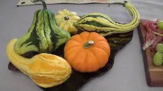 FALL SEASON TO CELEBRATE IN 4K  #plants #season #event #youtube