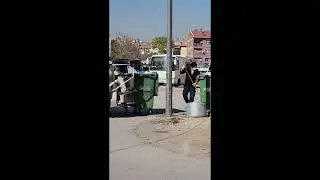Garbage truck in Turkey