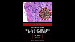 What is the evidence for COVID myocarditis by Dr. Marc Halushka