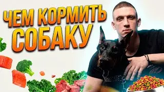 What to feed yourself and your dog!?