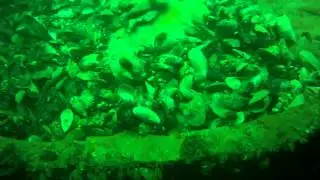 MSAC dive Black Sea Wreck Pioneer