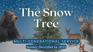 December 14: Sunday at All Souls- Multi-Generational Service: 