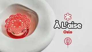 ⭐️ &Agrave;  L'AISE Proviamo la 🦆 CANARD &Agrave;  LA PRESSE in Norvegia 🇳🇴
