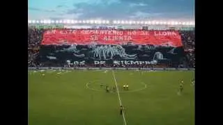 Los palmeras - marcha sabalera