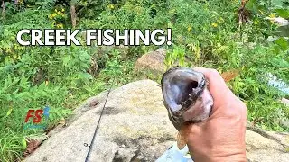 Nice Sauger Fishing With a Tube Jig