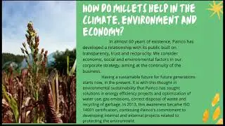Millet Project
